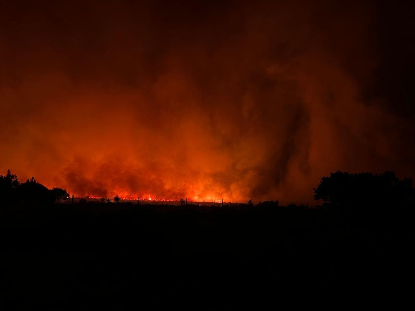 Incendio Forestal. Base Aérea del Maíllo, viernes 15 de julio de 2022  S24H (2)