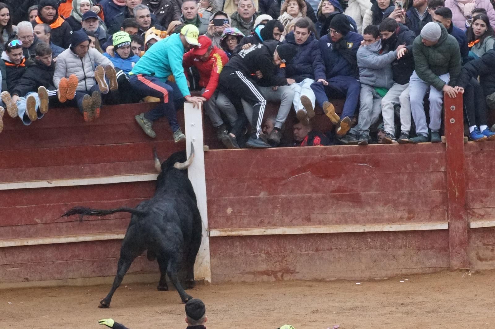 Capea matinal de domingo de carnaval en Ciudad Rodrigo (62).jpeg