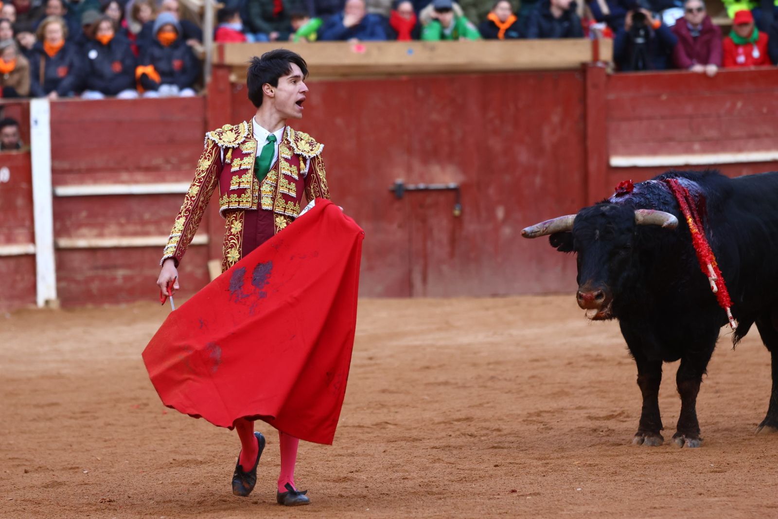 Novillada con picadores de lunes en el Carnaval del Toro de Ciudad Rodrigo 2026