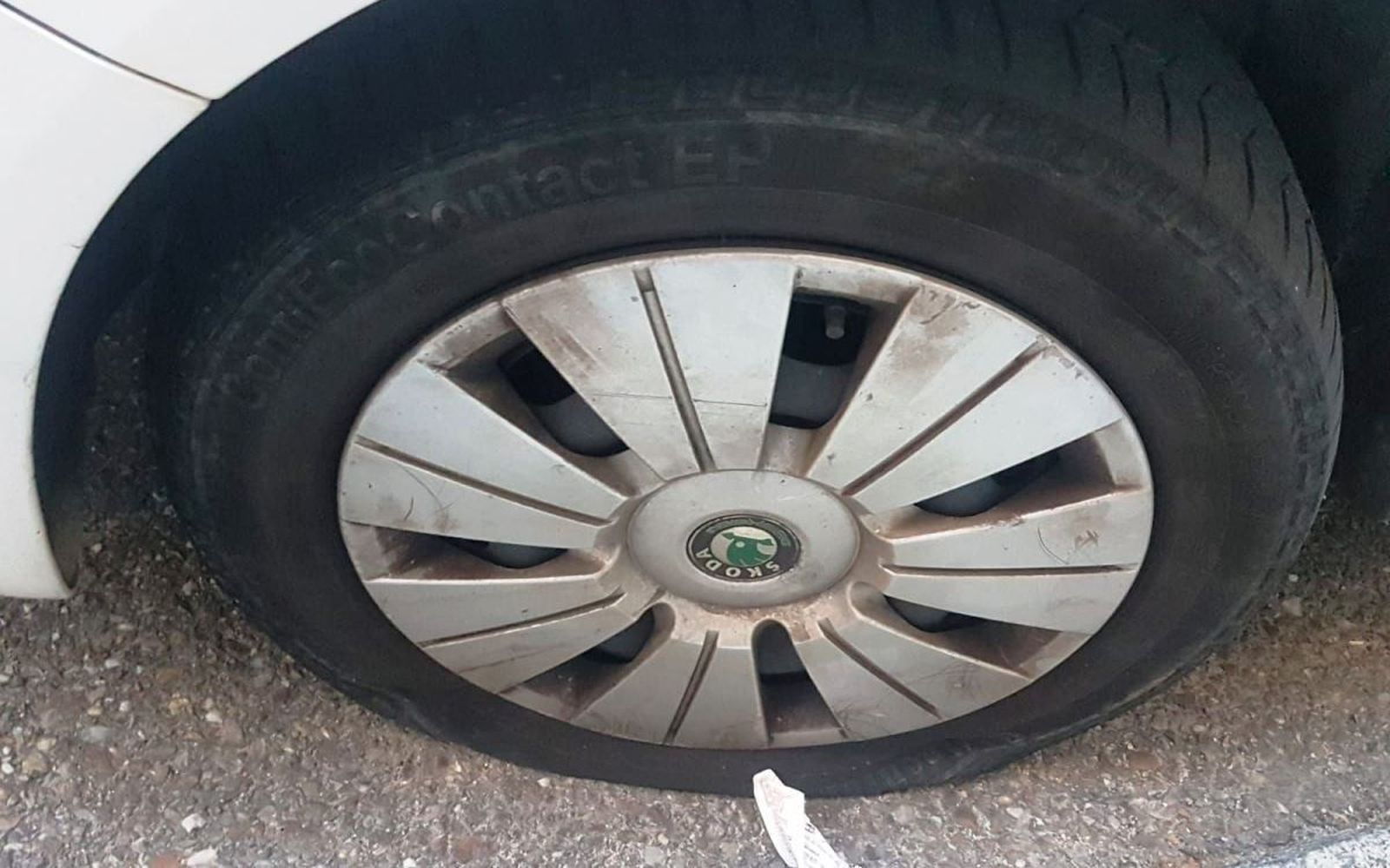 554f0d95 772c 4b52 94e0 01efba4dc300