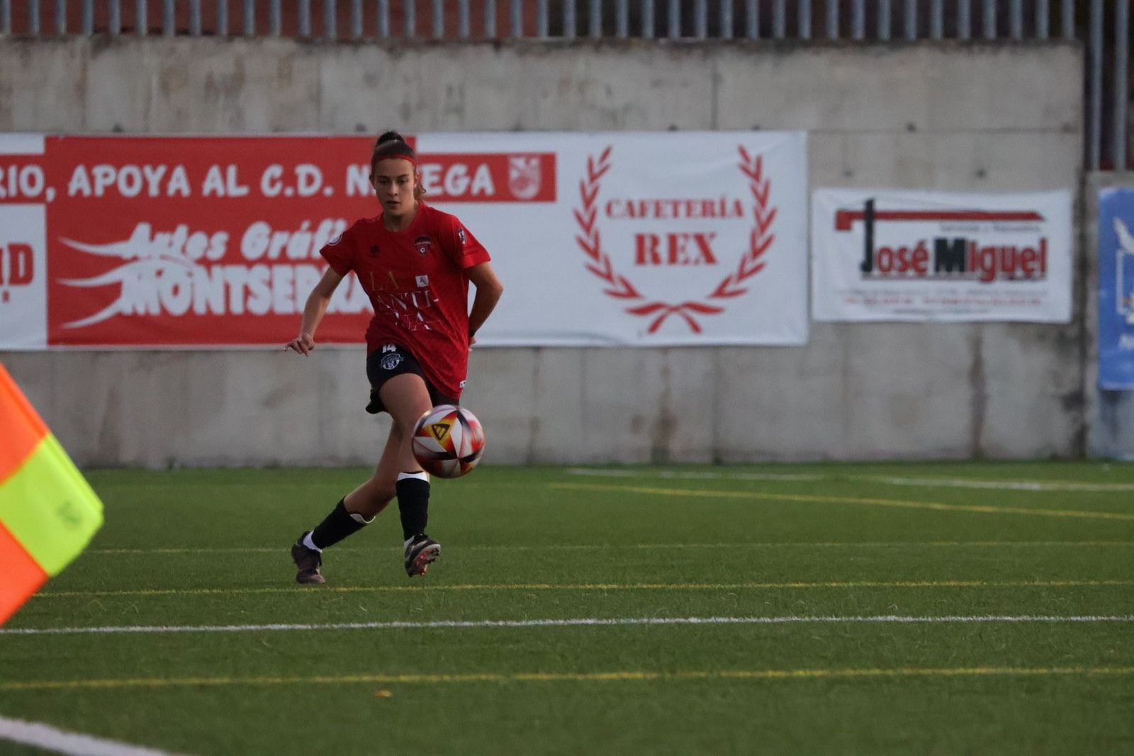 20231125180545-img-3127