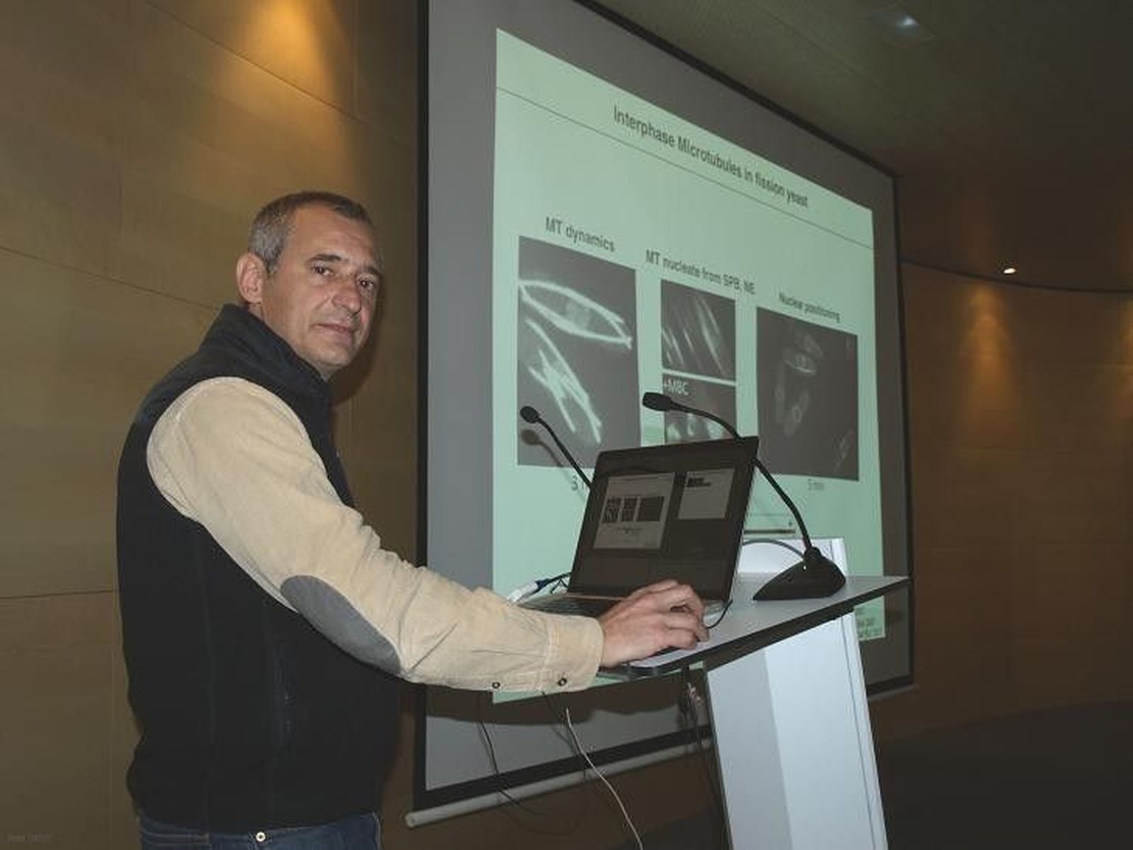 La importancia de la organización del material genético en el núcleo de las células