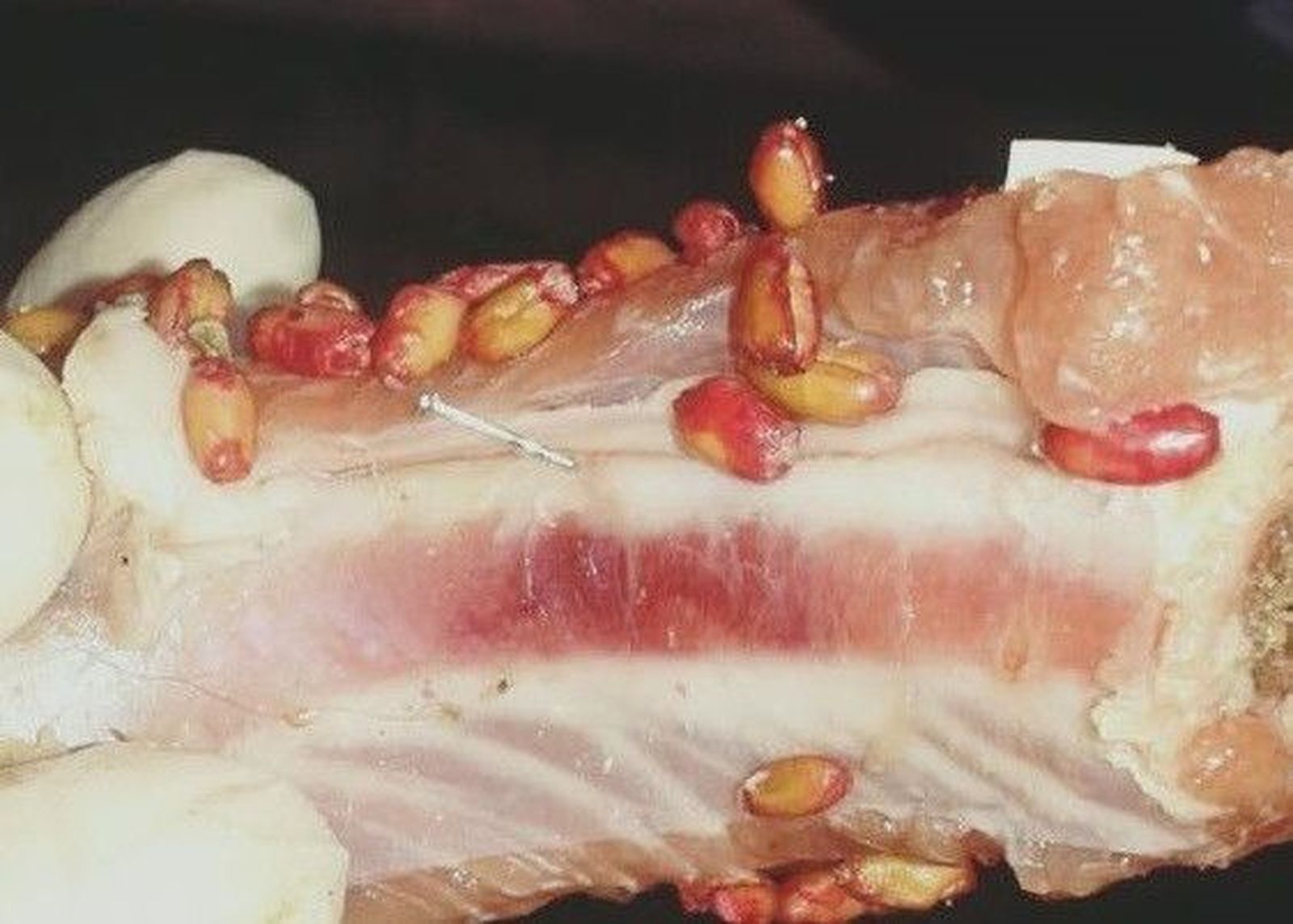 Aparecen trozos de carne para perros con alfileres y matarratas