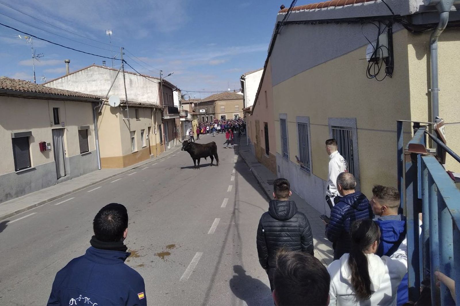 Toro del cajón de Cantalapiedra