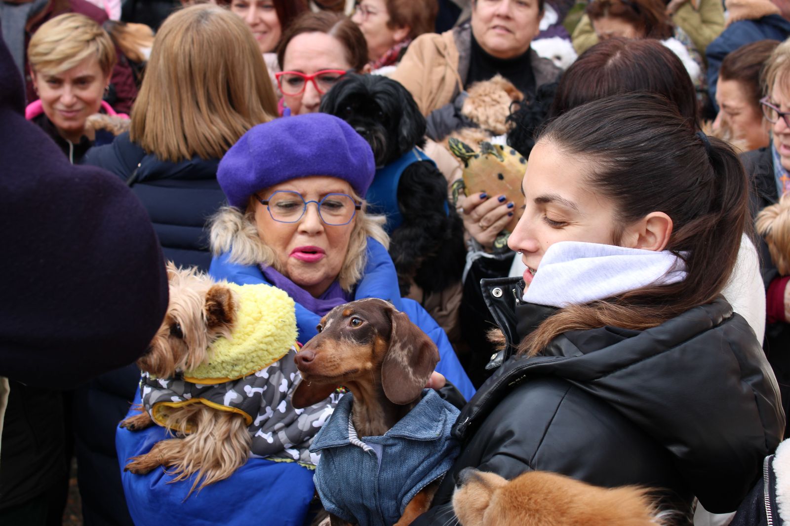 san-anton-bendicion-de-animales-2024-foto-s24h-72