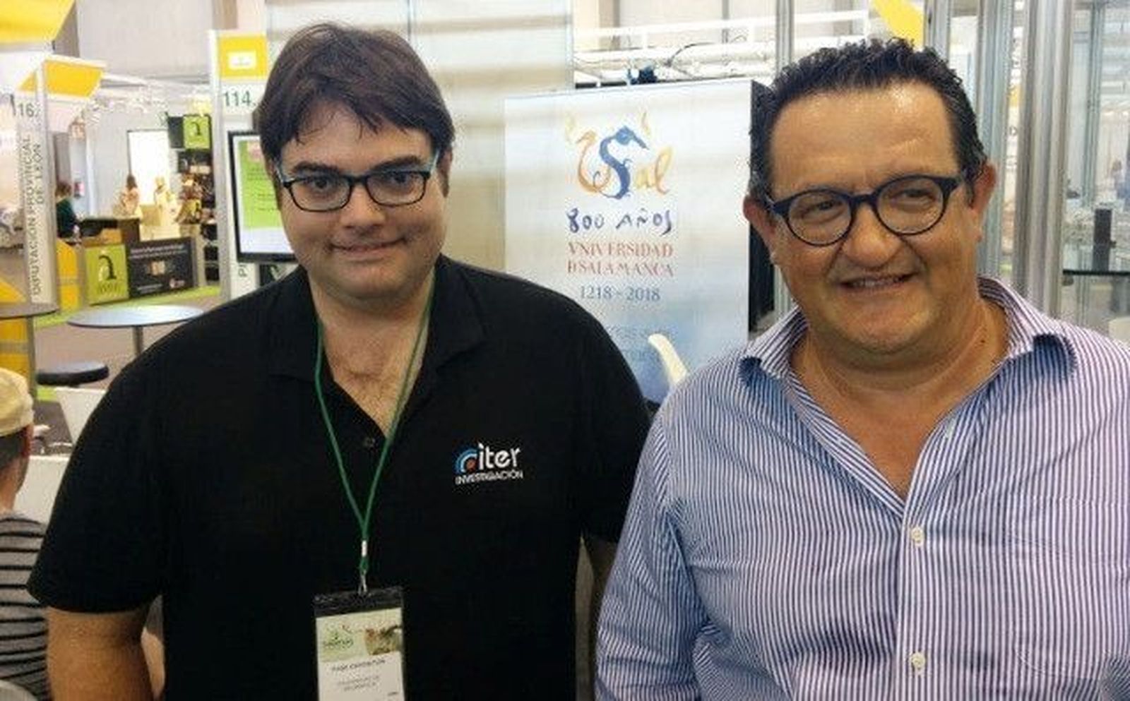 Catar un queso con rayos infrarrojos