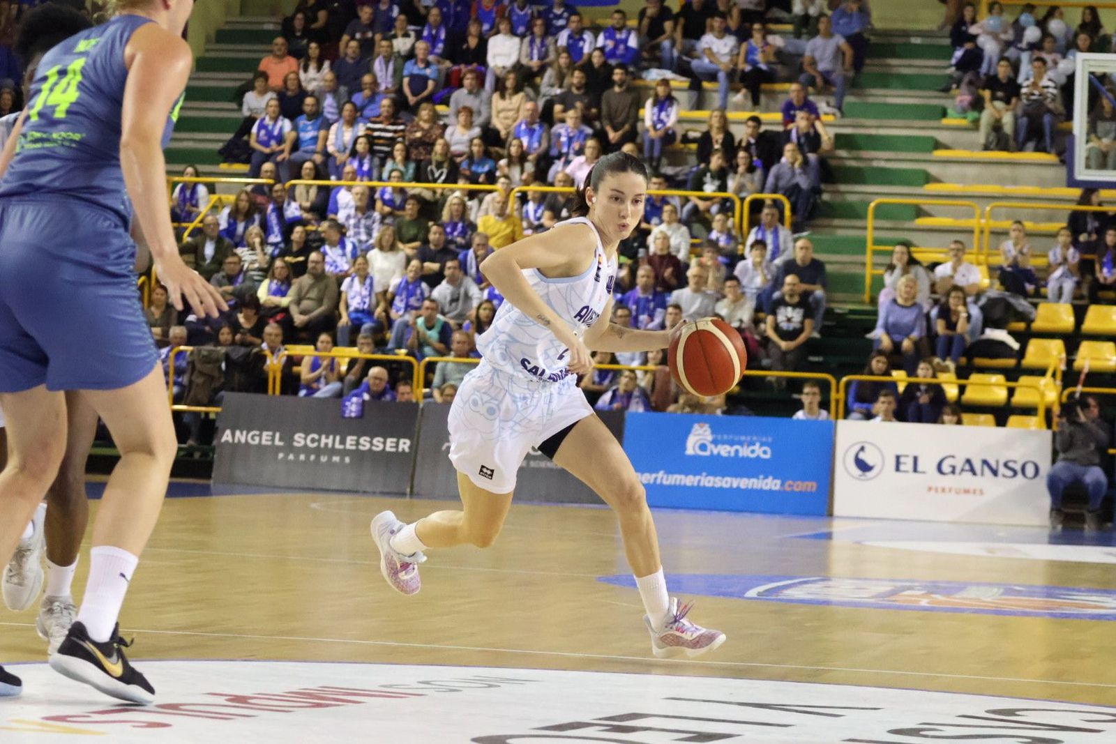 20231025193927-img-5218