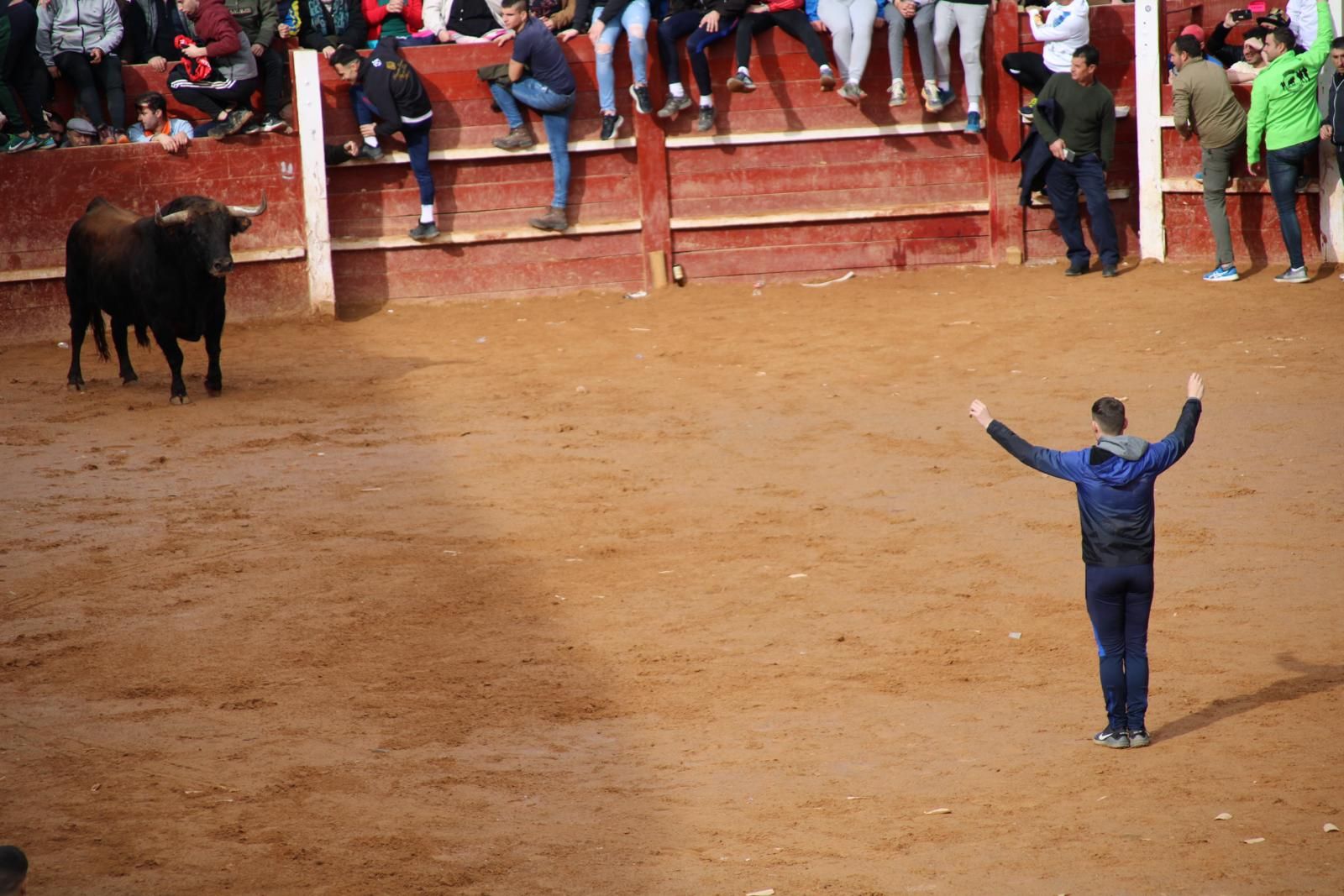 capea-matutina-del-martes-de-carnaval-18