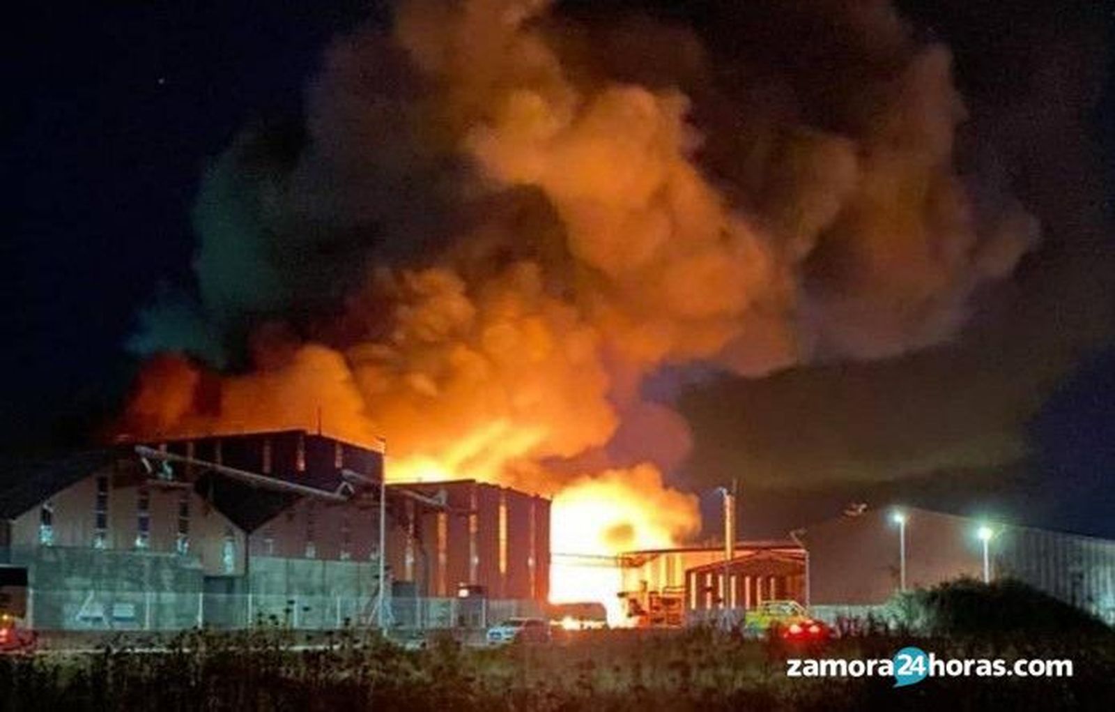 WhatsApp Image 2020 09 07 at 00.48.15