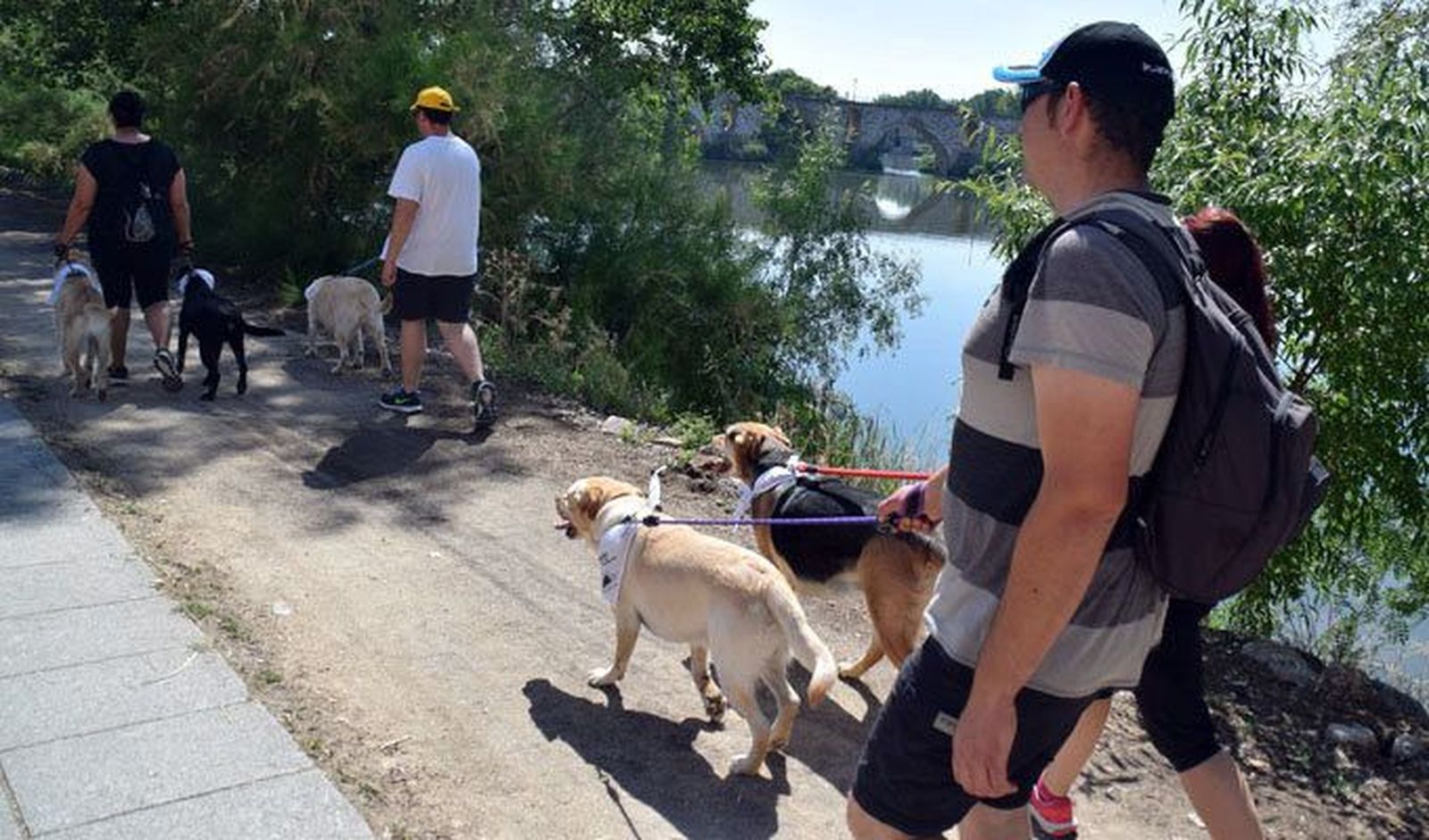 En marcha contra el abandono animal