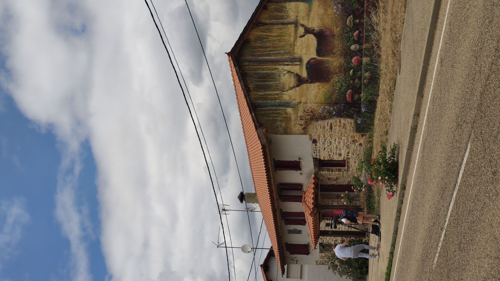 las-desoladoras-imagenes-de-la-sierra-de-la-culebra-tras-el-incendio-5
