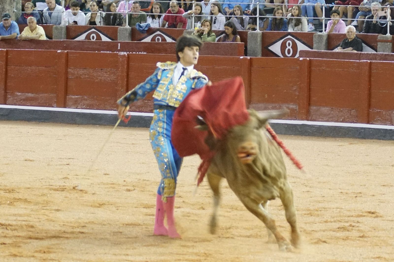 Clase práctica con alumnos de la Escuela de Tauromaquia de Salamanca (Diego Mateos, Noel García y Álvaro Rojo con erales de Esteban Isidro)