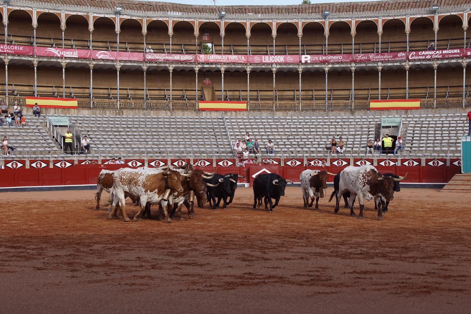 whatsapp-image-2023-09-08-at-19-29-13