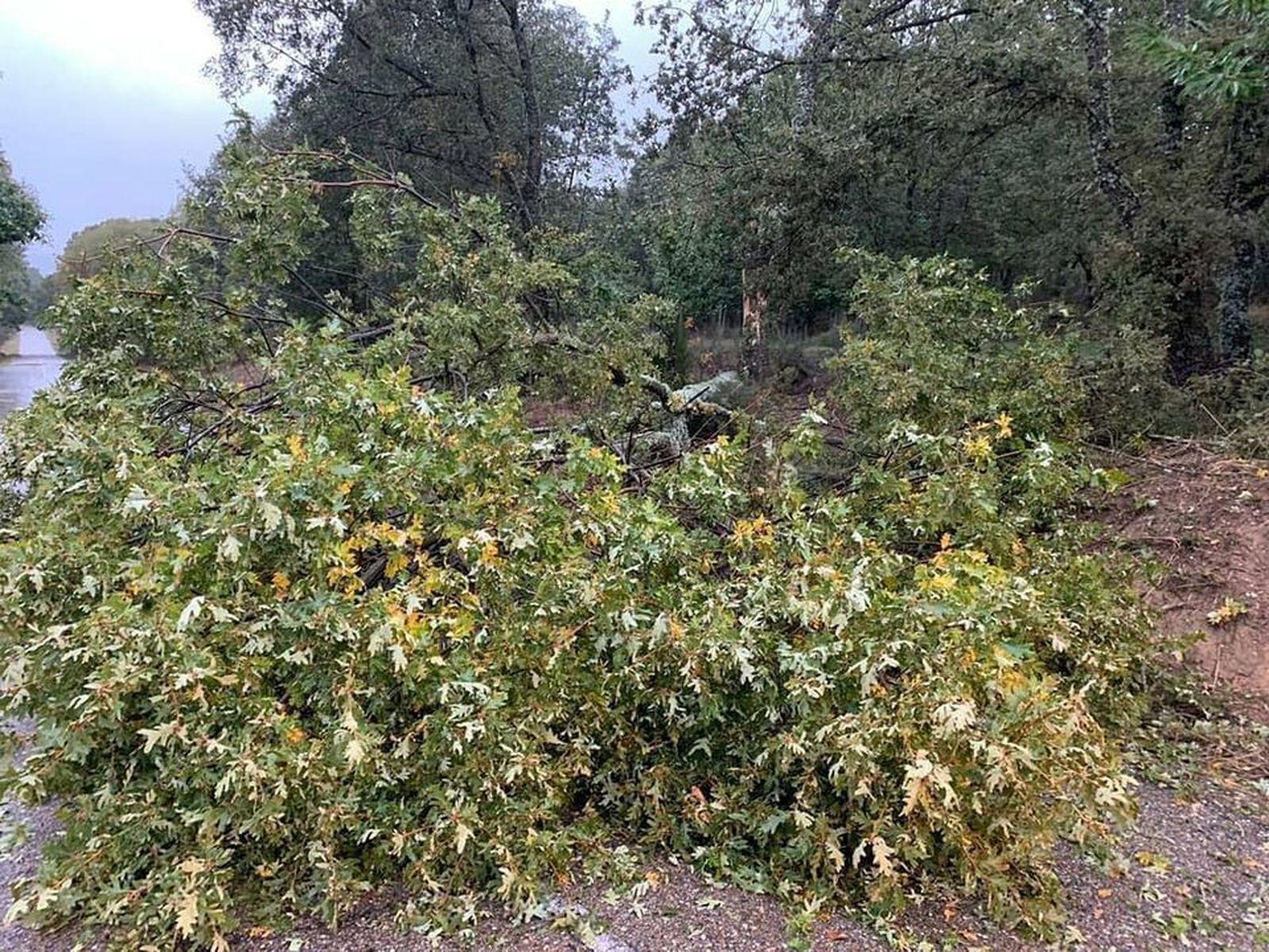 120568851 3751527214892274 5562987946948300606 o