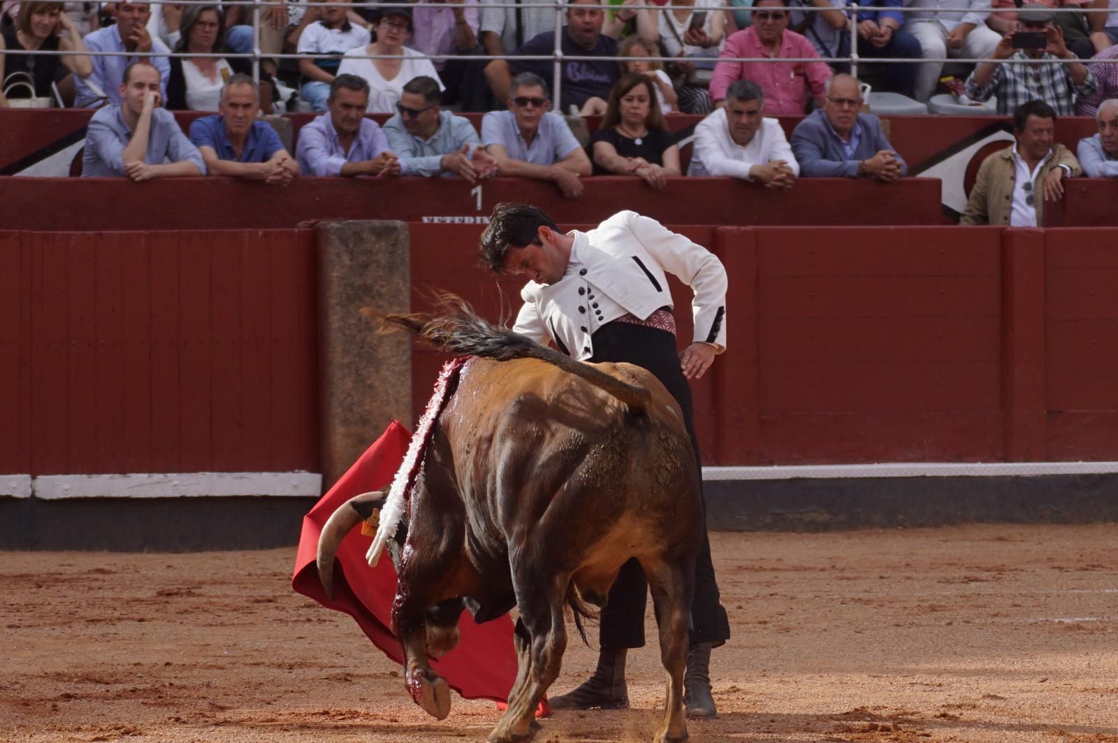 whatsapp-image-2025-06-12-at-21-25-05