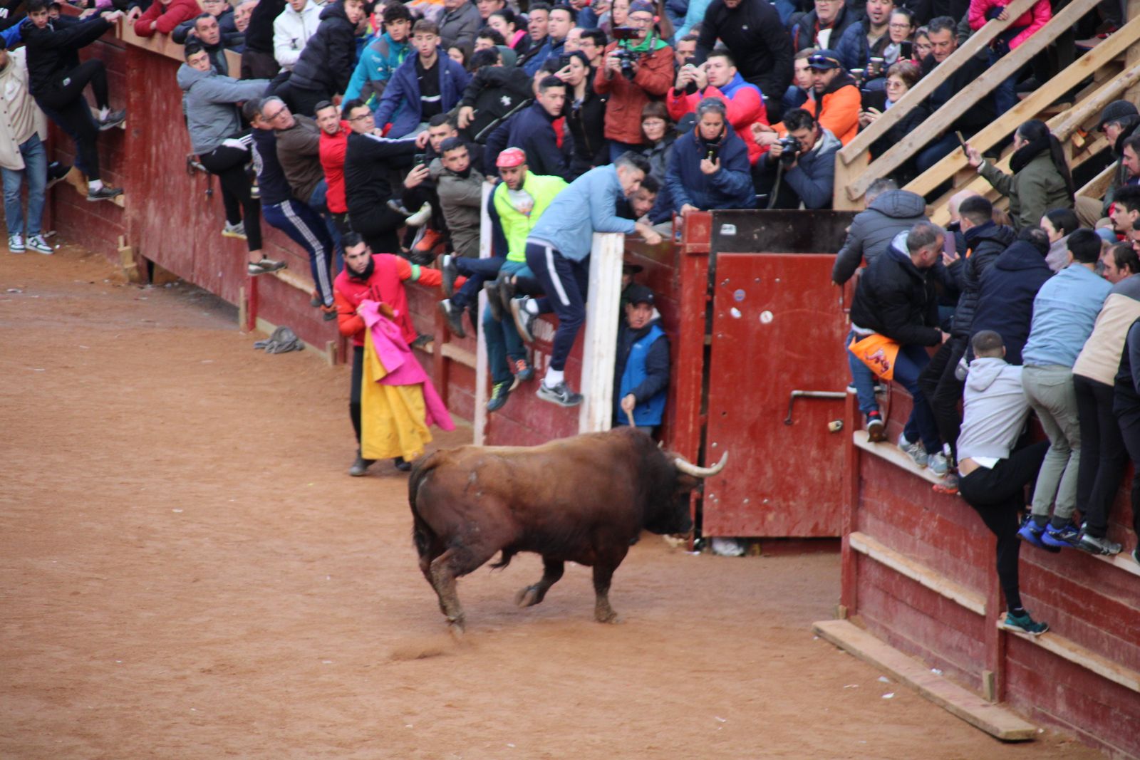 Toro del aguardiente en la mañana de martes del Carnaval del Toro 2026