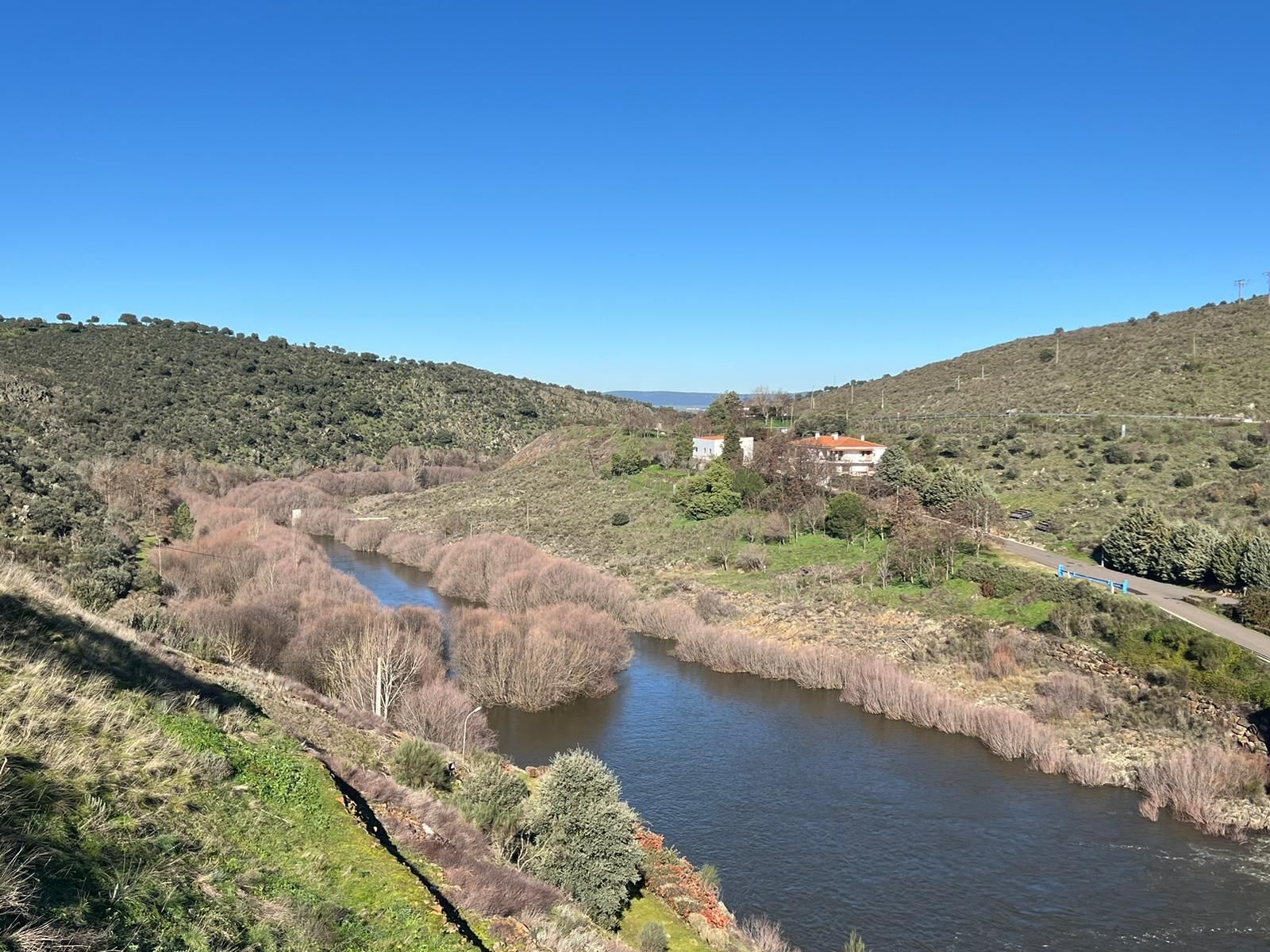 whatsapp-image-2024-01-20-at-13-54-58-1