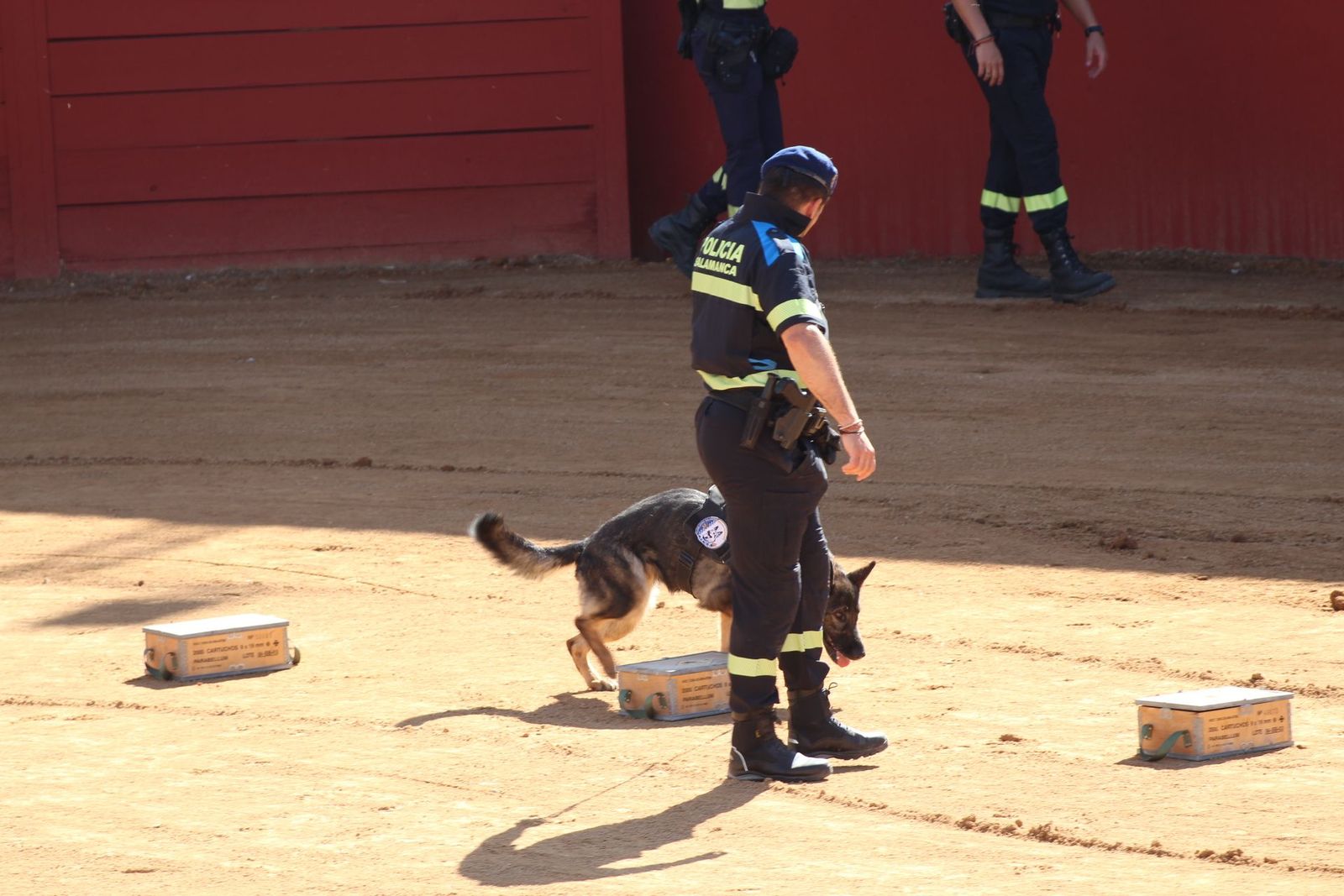 20230905123105-img-7976