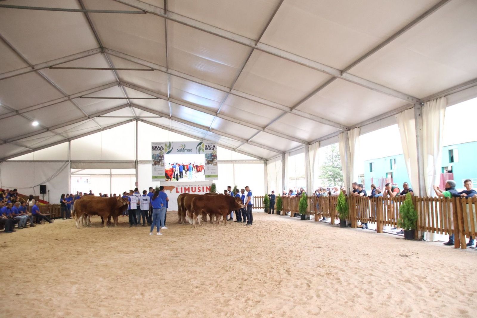 20230902102646-img-6971