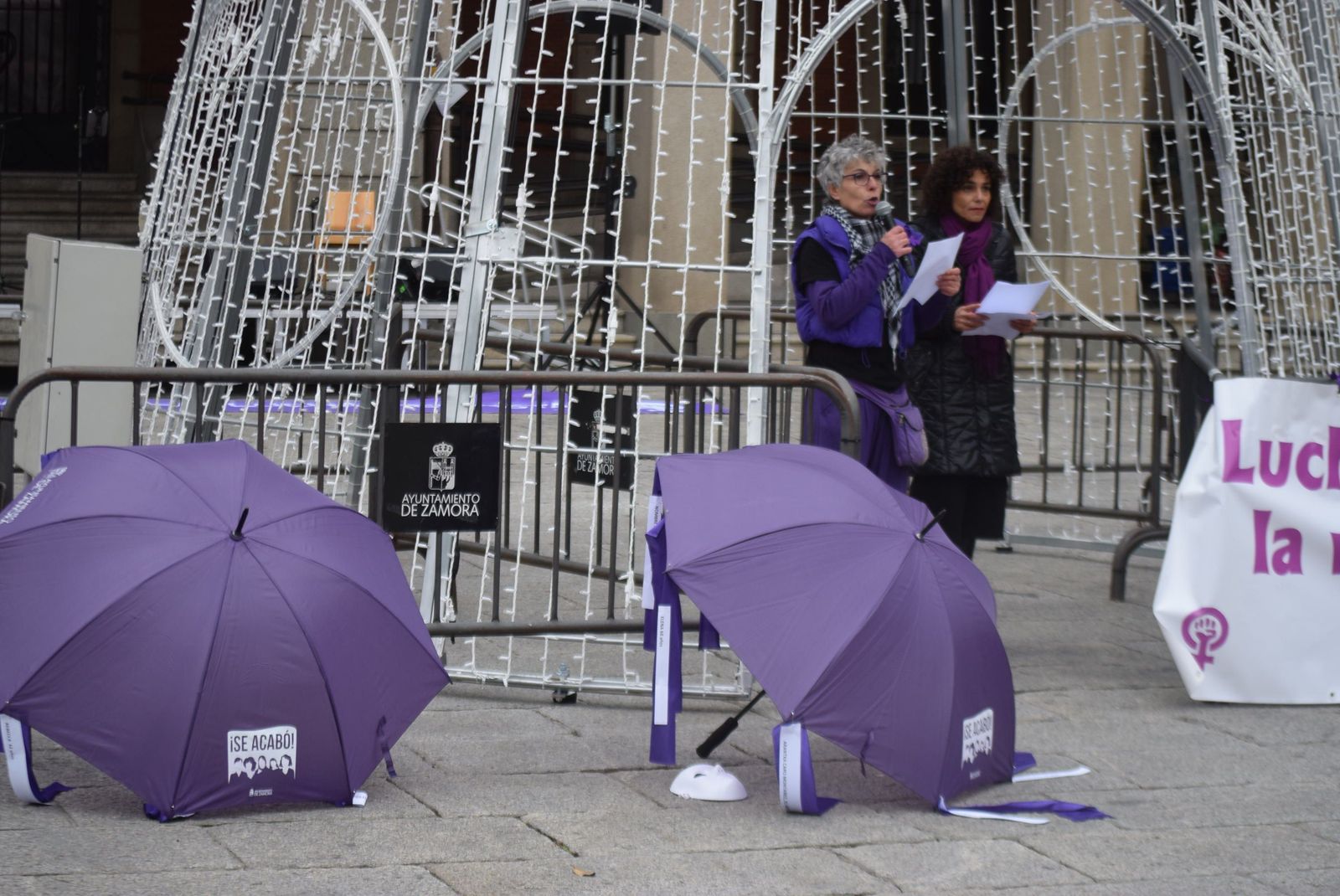 concentracion-25-n-en-zamora-7