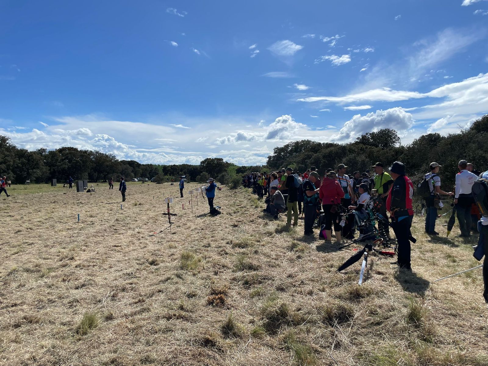 Tiro con arco de campo y 3D en España en Benavente.