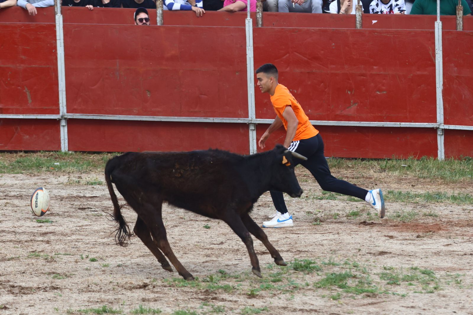 Grand Prix y Capea en Doñinos