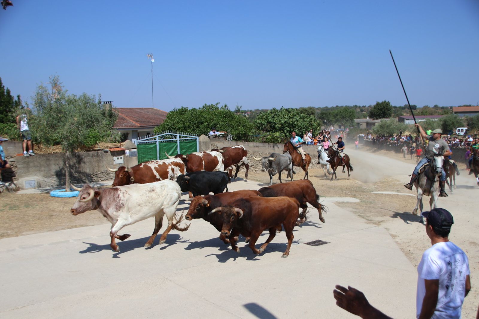 Lumbrales encierro a caballo