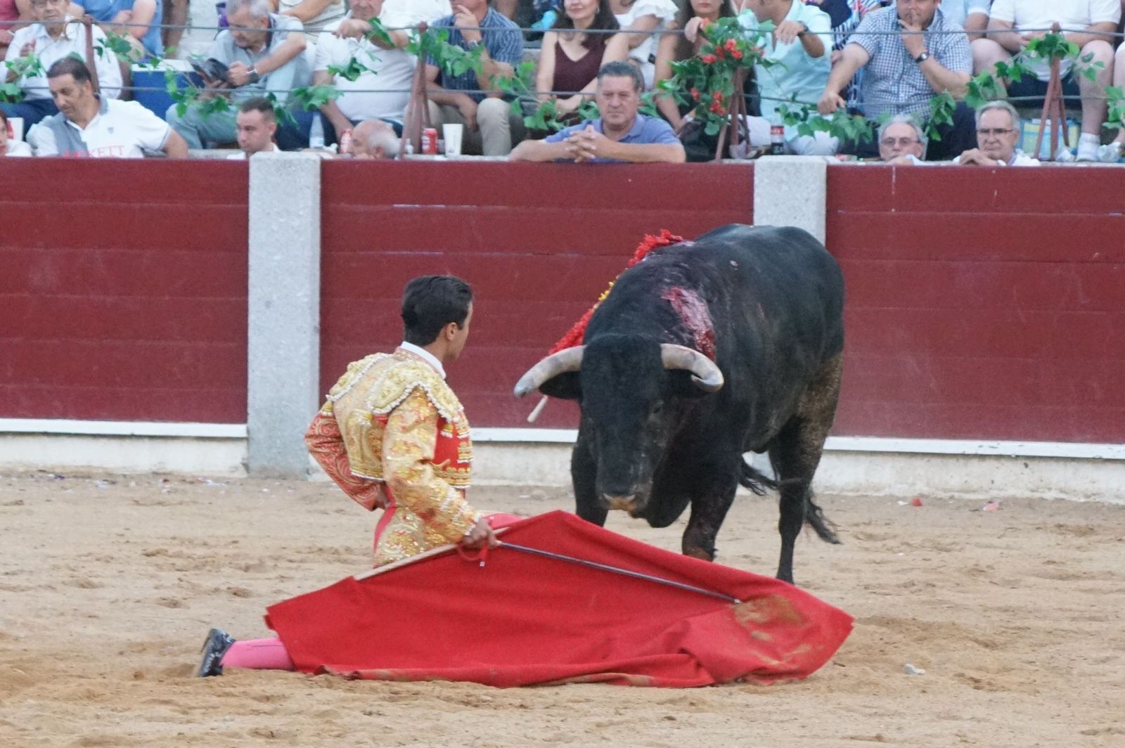 corrida-rejones-guijuelo-45