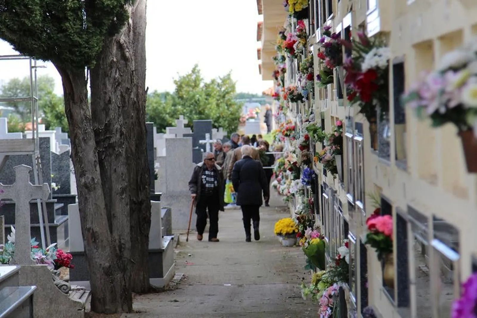 Cementerio de San Atilano en Zamora