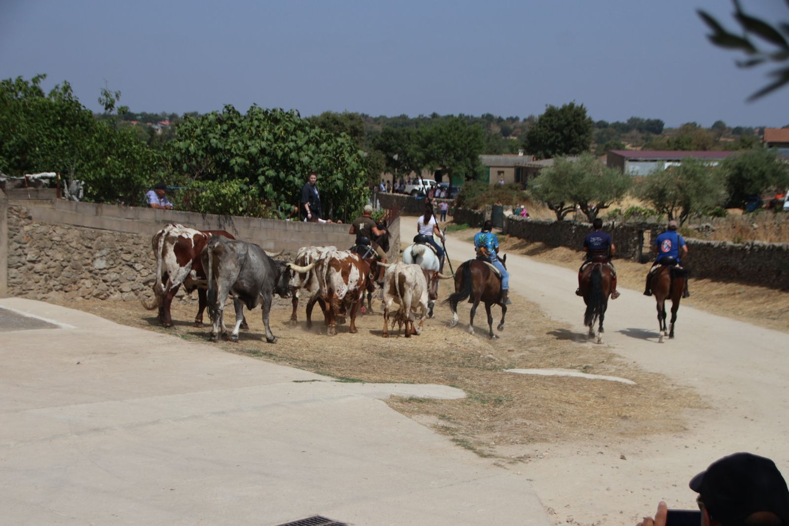 Lumbrales encierro a caballo, dia 2