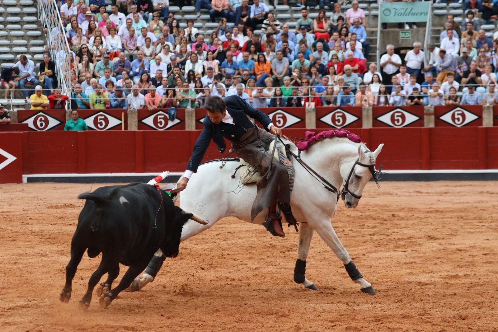 20230909183925-img-0705