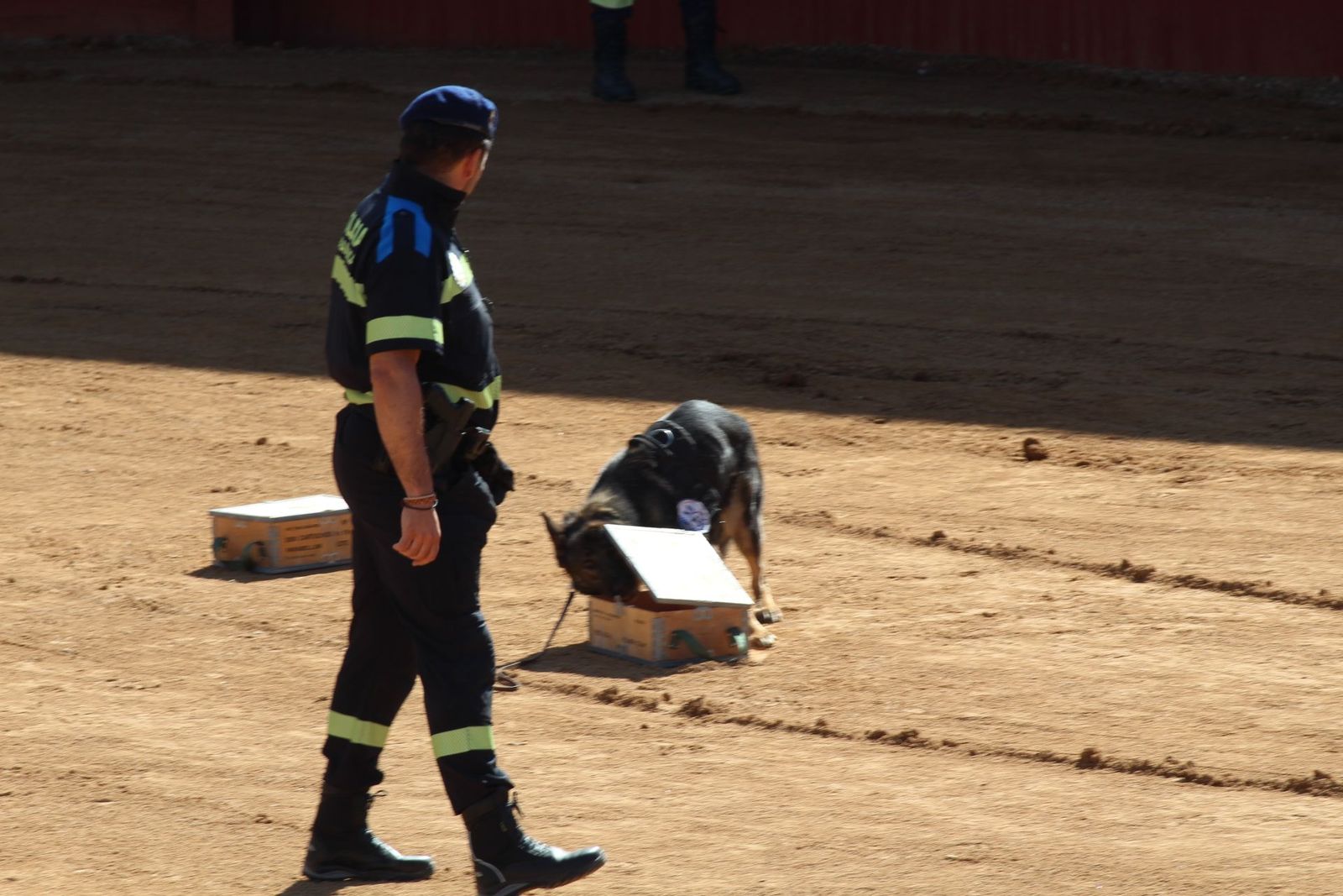 20230905123123-img-7980