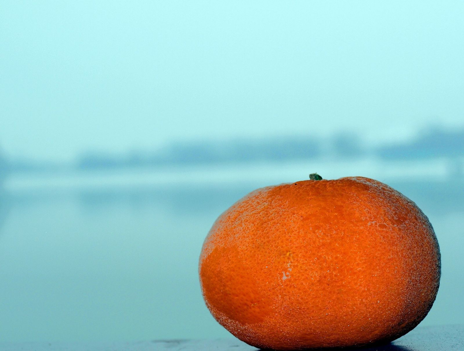 Mandarina (Klementina)