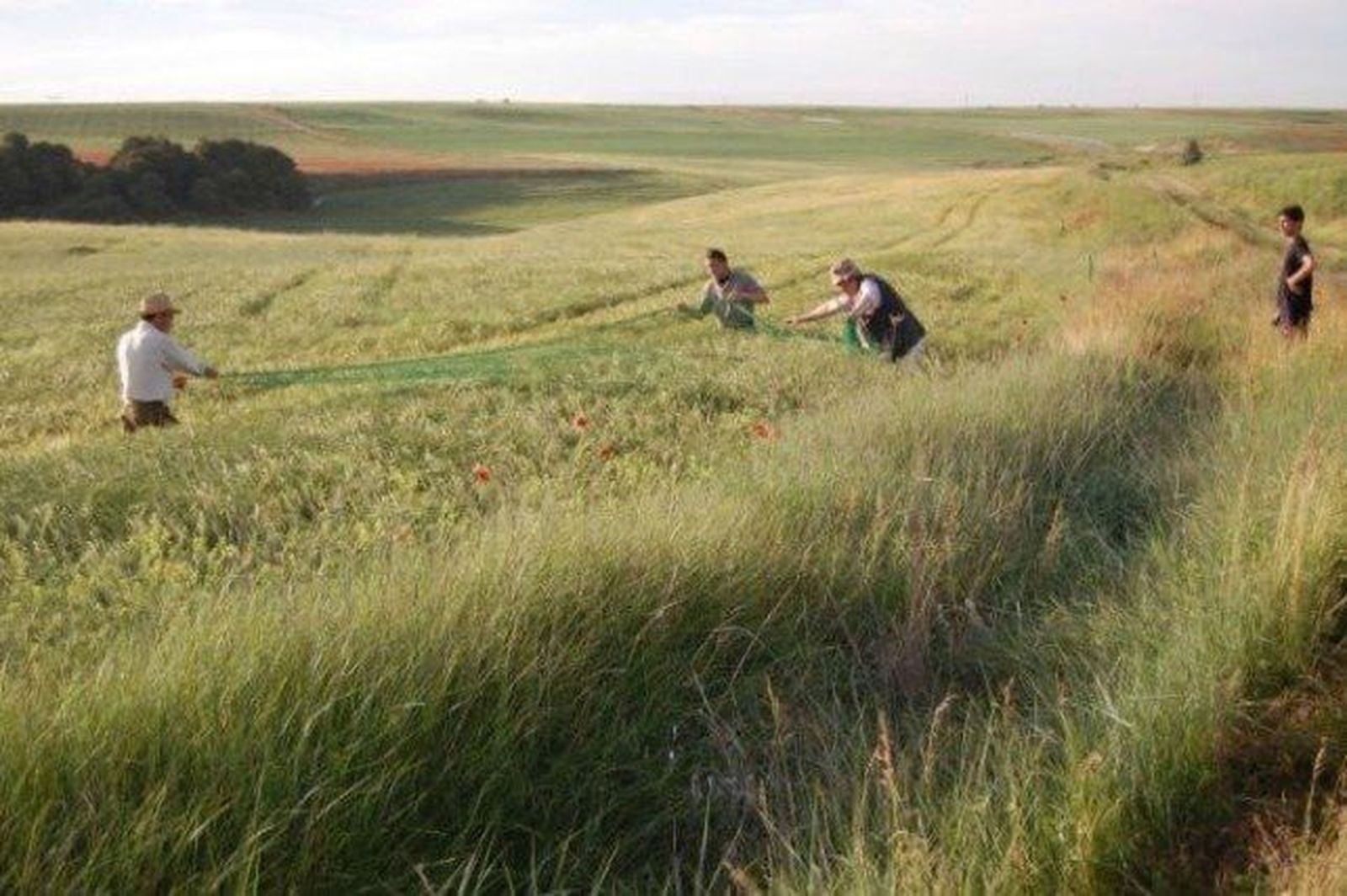 La Fundación Caja Rural UBU oferta 10 becas destinadas a alumnos de primero de Ingeniería Agroalimentaria y del Medio Rural