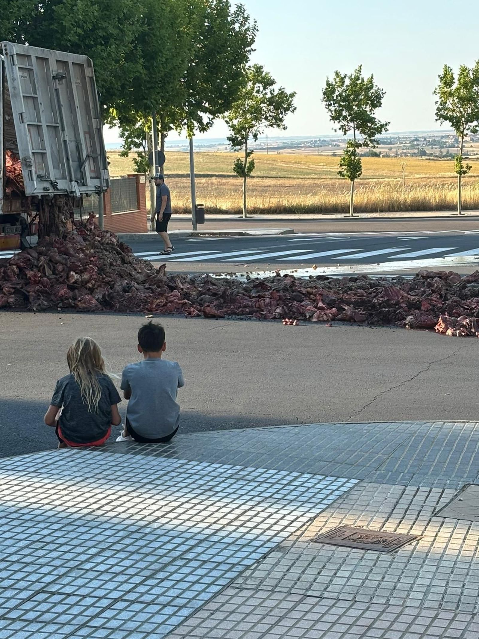 whatsapp-image-2024-07-24-at-20-14-30-3