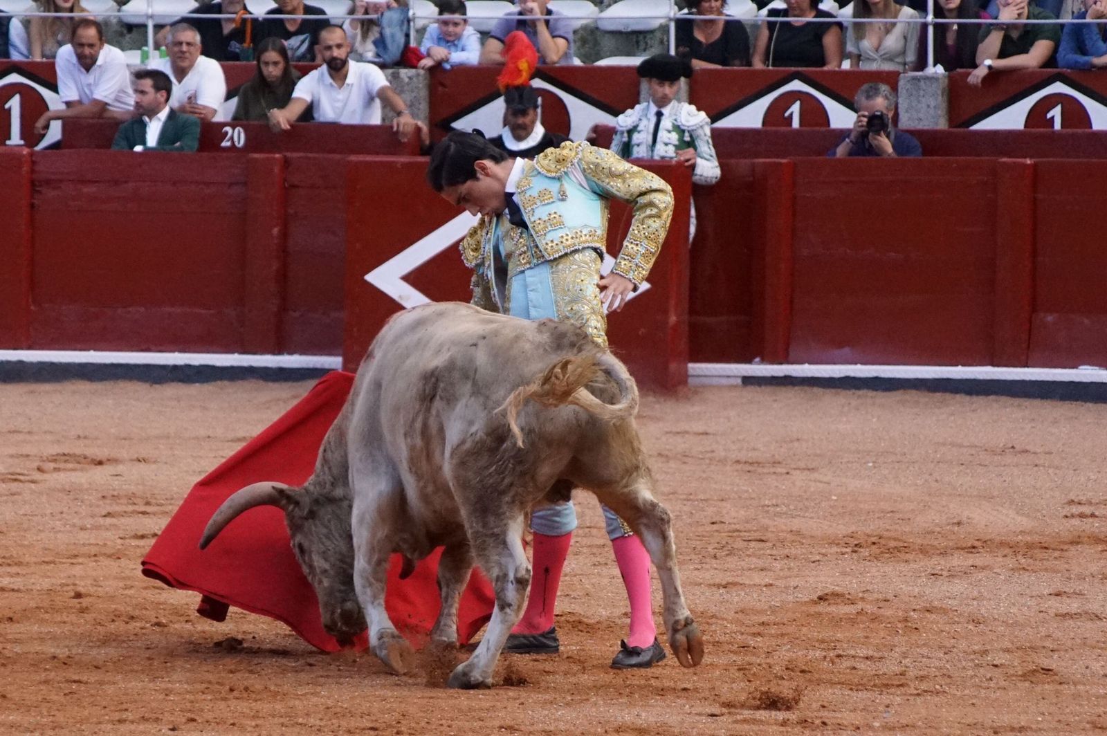 whatsapp-image-2022-09-08-at-9-20-19-pm-1