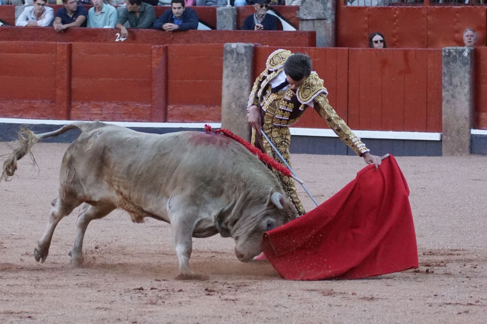 Clase práctica con alumnos de la Escuela de Tauromaquia de Salamanca (Diego Mateos, Noel García y Álvaro Rojo con erales de Esteban Isidro)