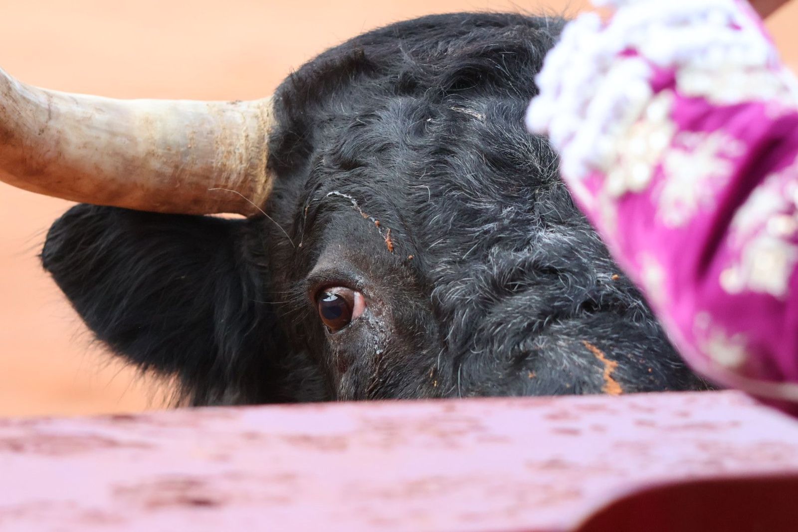 20230910185223-img-2170