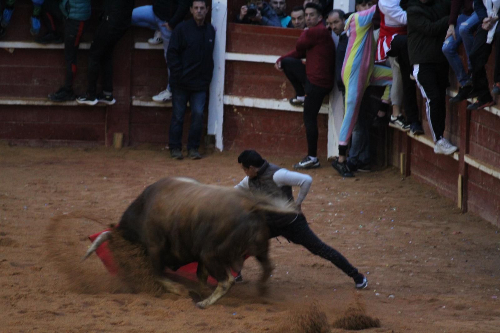 ambiente-y-capea-vespertina-sabado-de-carnaval-en-ciudad-rodrigo-2025-fotos-belen-hurtado-74