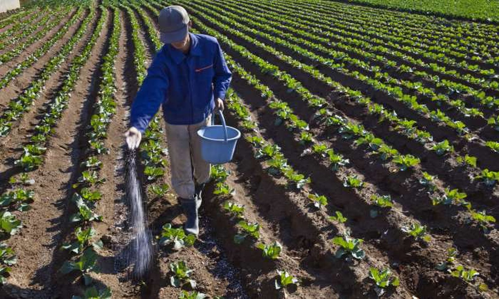 Foto ayudas fertilizantes