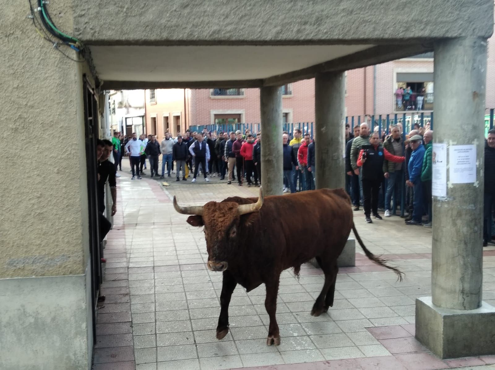 whatsapp-image-2022-12-10-at-13-56-05