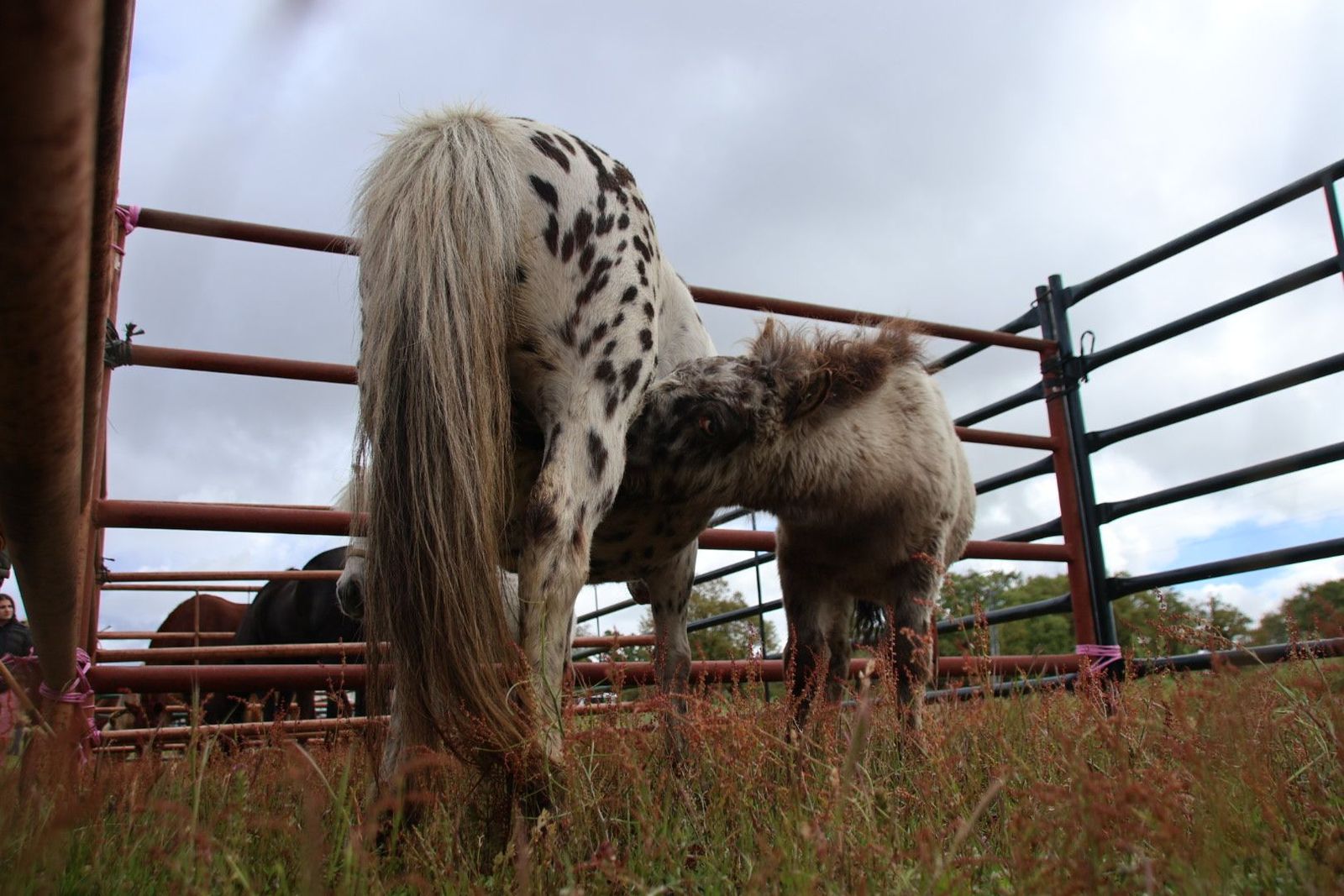 20240501103003-img-2900