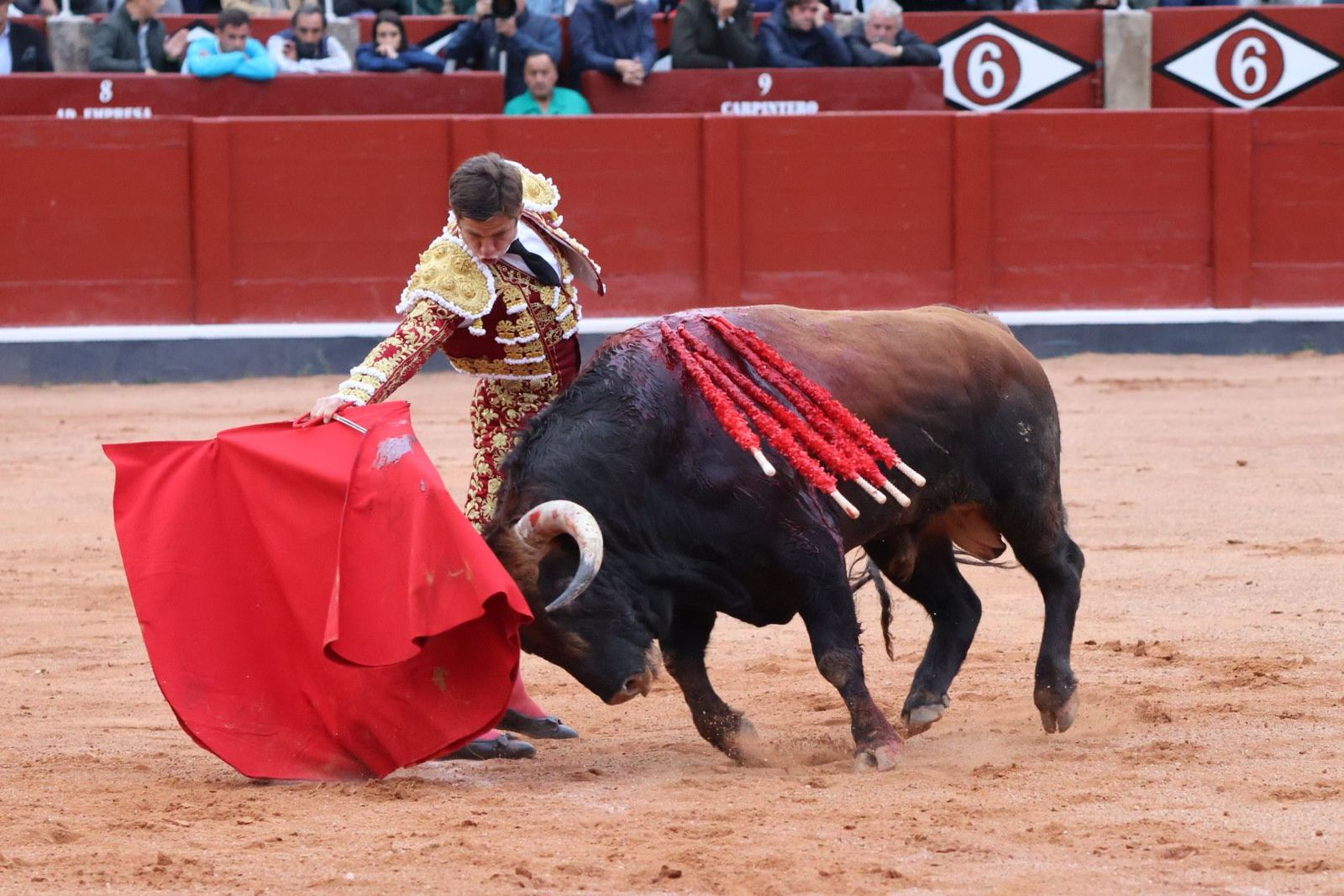 20230921183412-img-8171