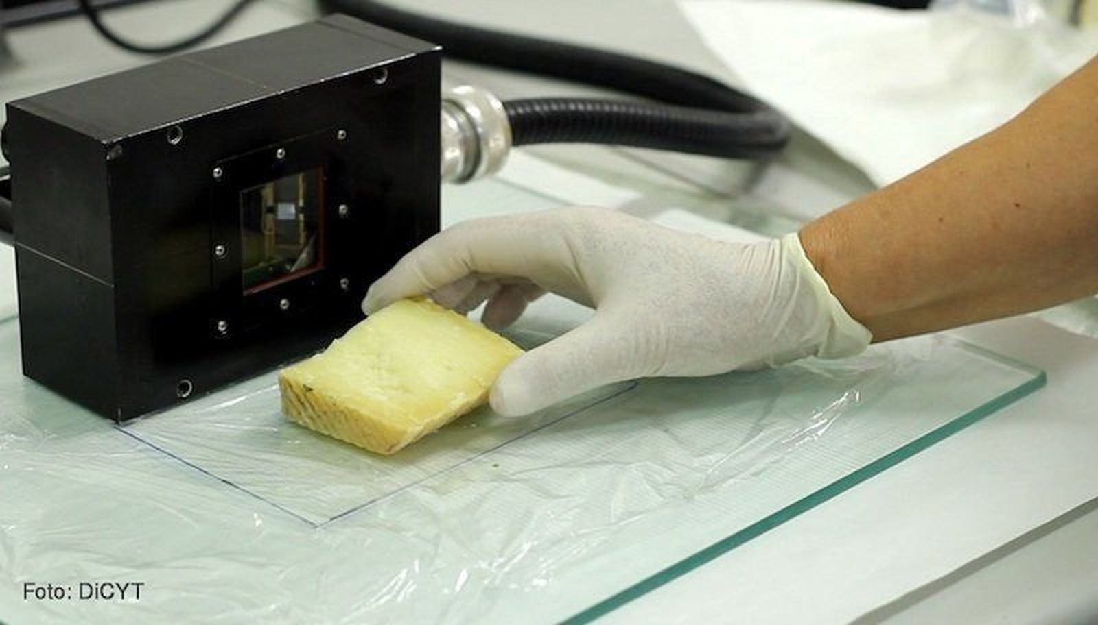 Desarrollan un innovador catador de quesos virtual