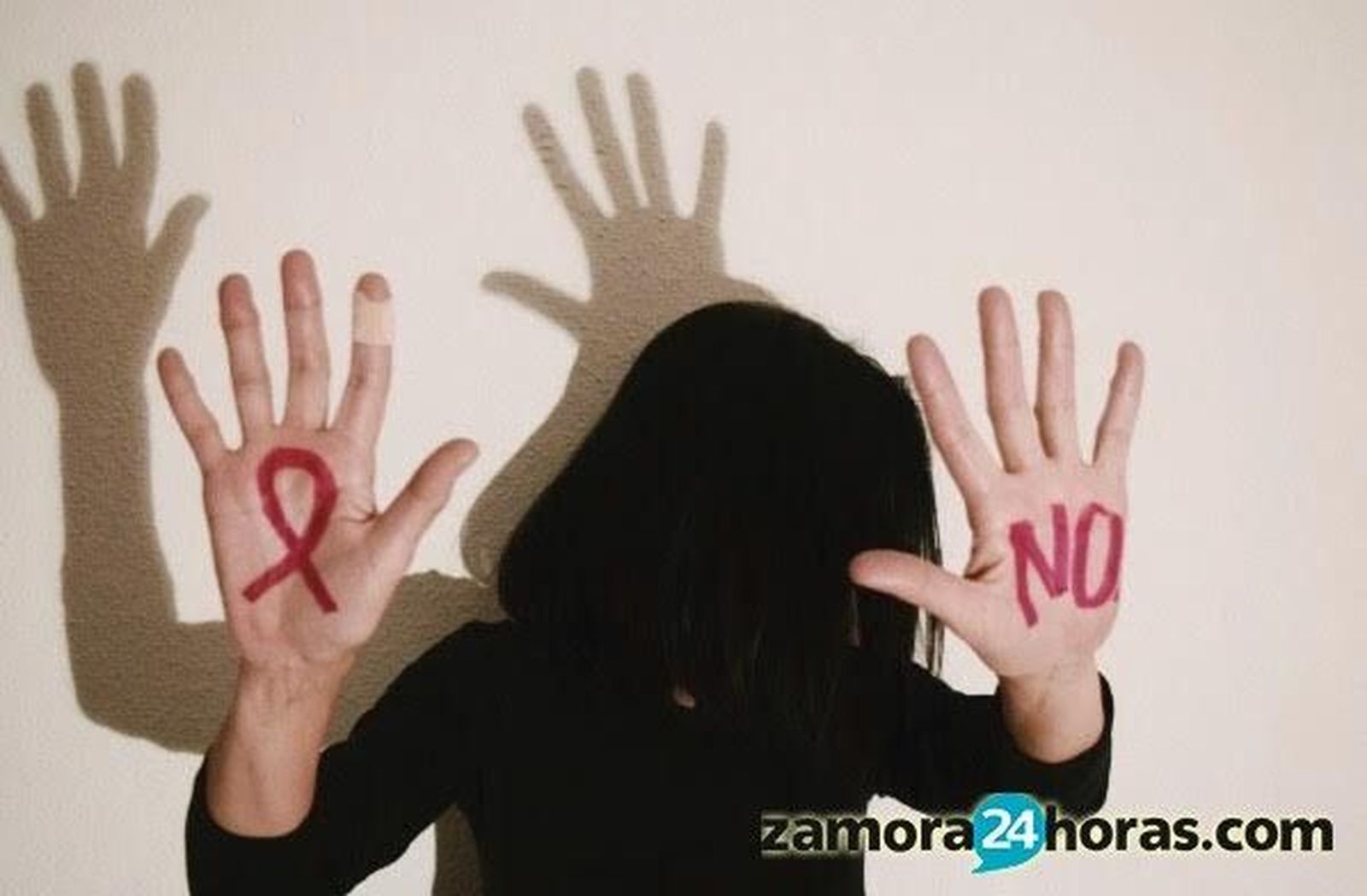 Zamora registra 128 casos de malos tratos en lo que va de año