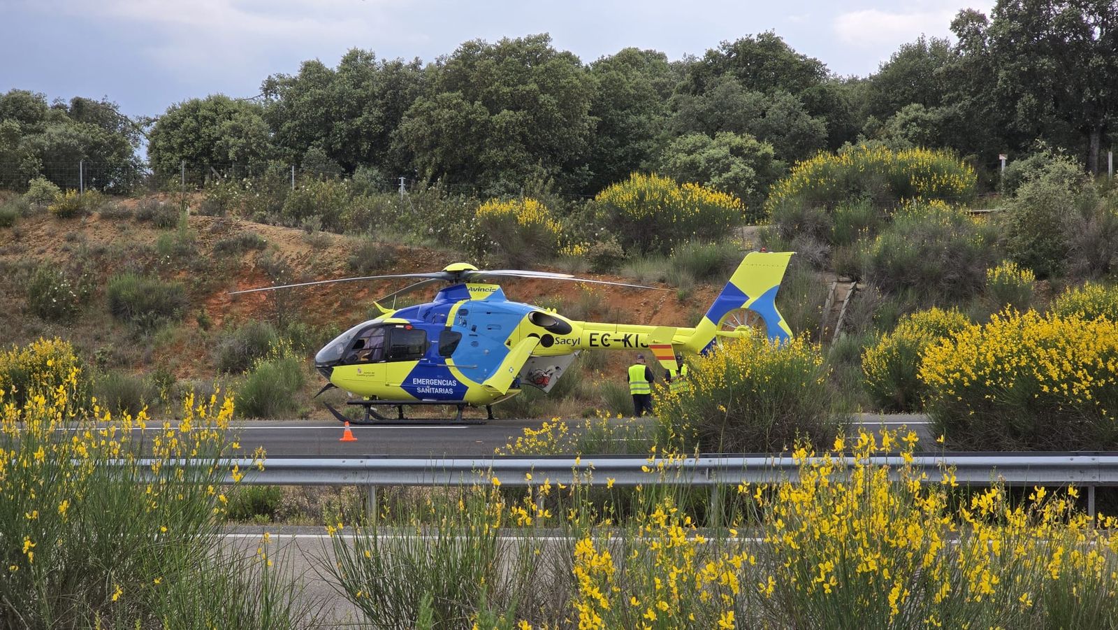 554beb65-38ca-4b29-b2fd-393a54e07cd3