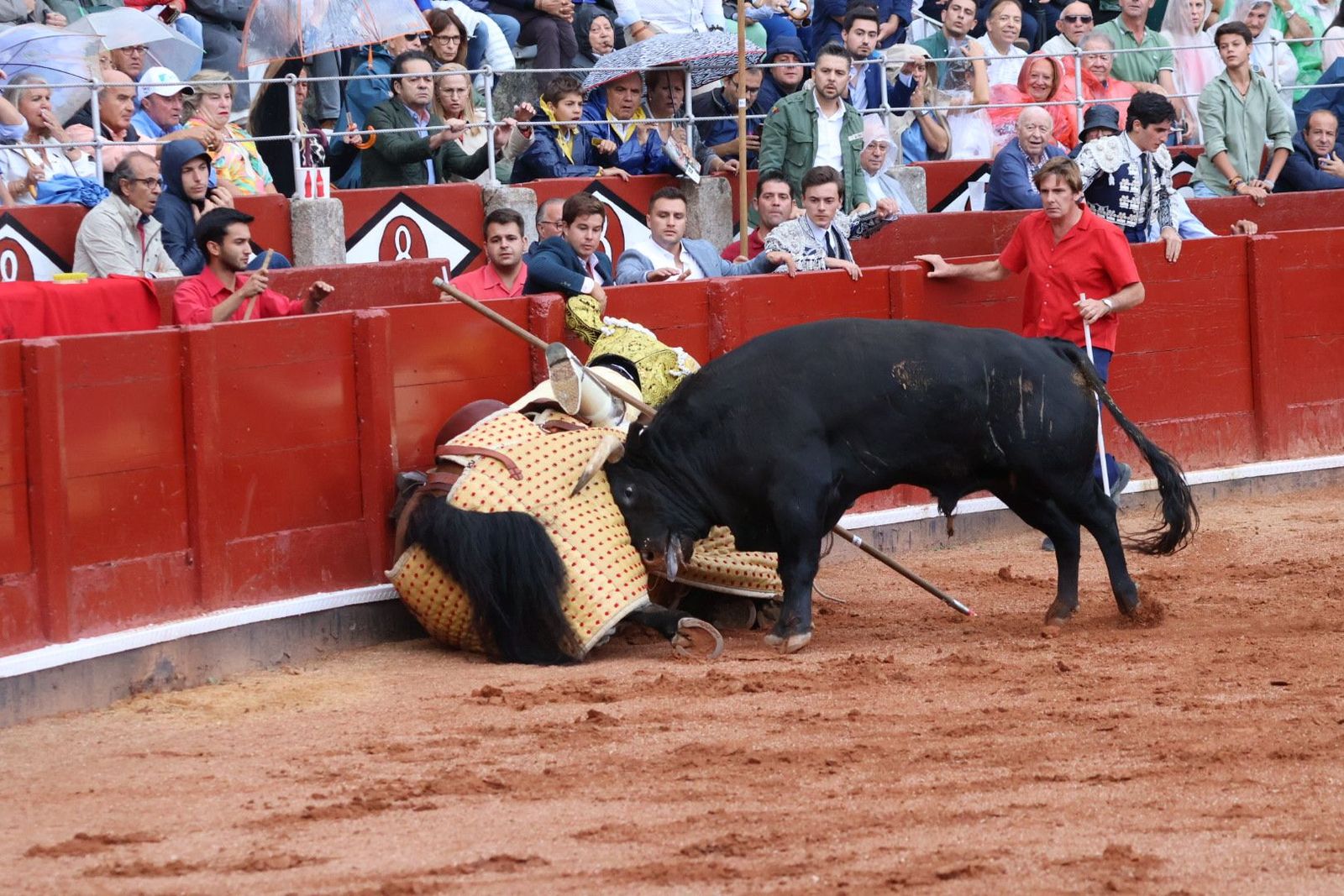 20230915173605-img-3943