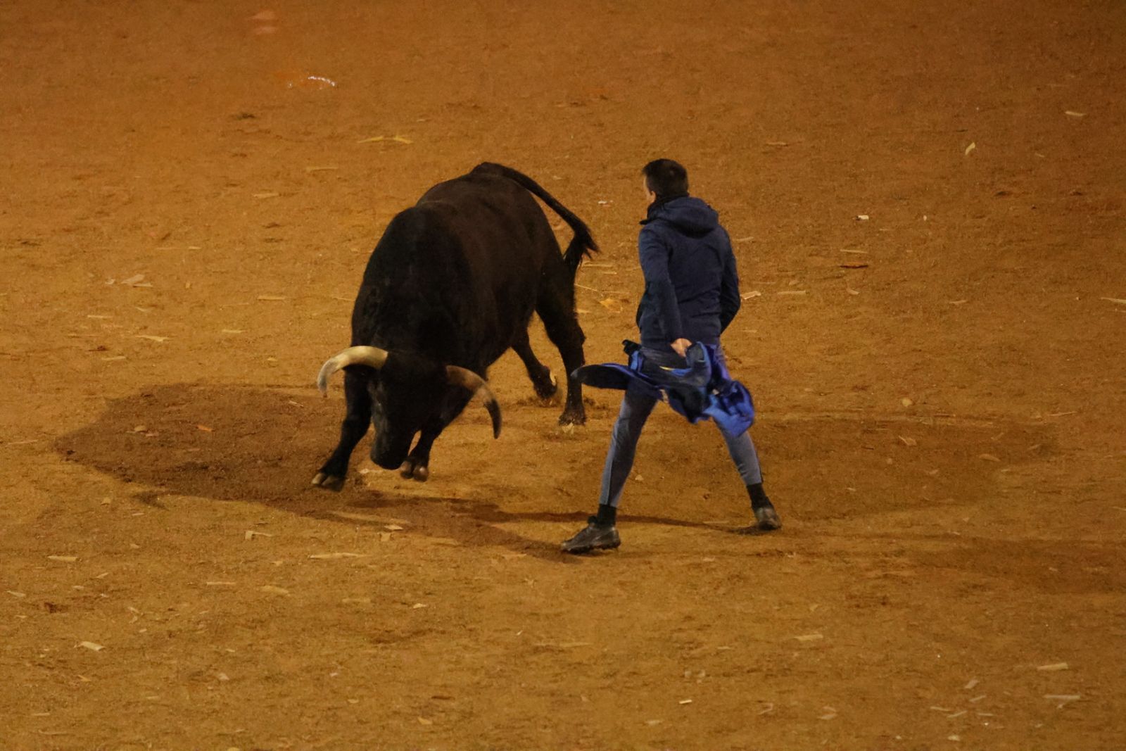 Capea Nocturna del Viernes en Ciudad Rodrigo