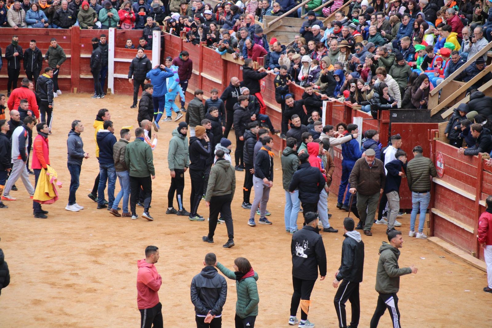 whatsapp-image-2025-03-01-at-13-18-37-2