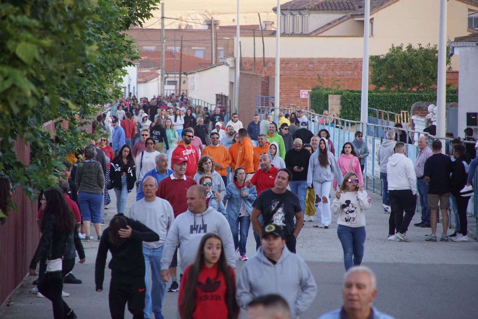Primer encierro de las fiestas de San Roque en Macotera